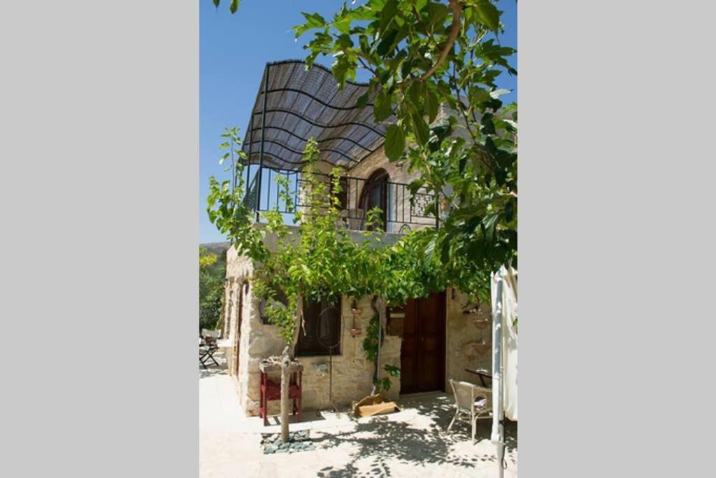 Willa Petite Olive House Sitia  Zewnętrze zdjęcie